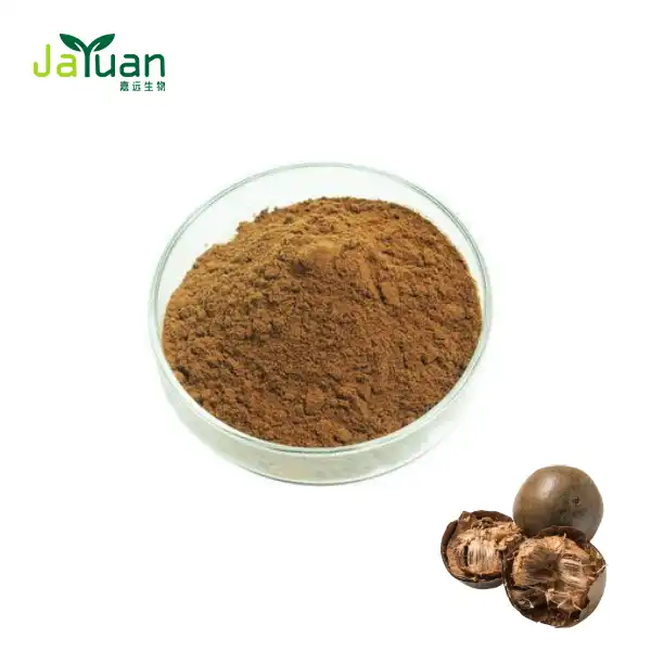 Bulk Monk Fruit Extract Powder Bulk Monk Fruit Extract Powder